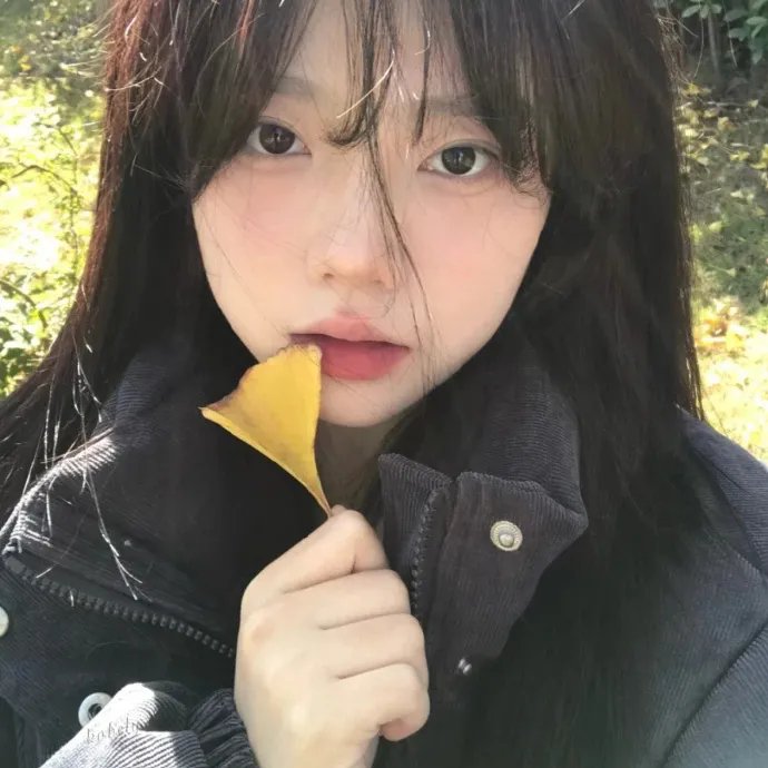 绵羊侦探团剧照4